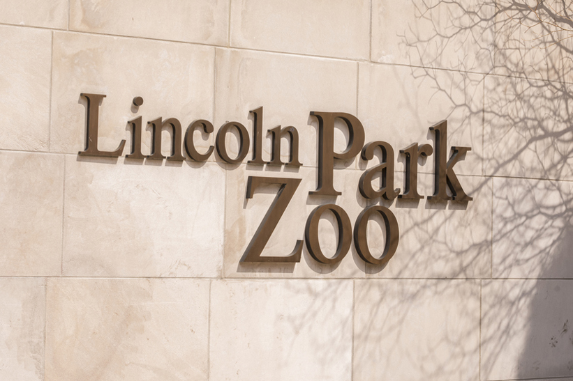The Lincoln Park Zoo