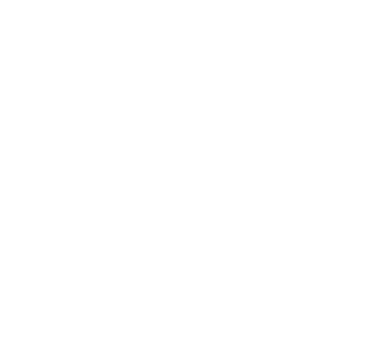 luxury real estate watermark