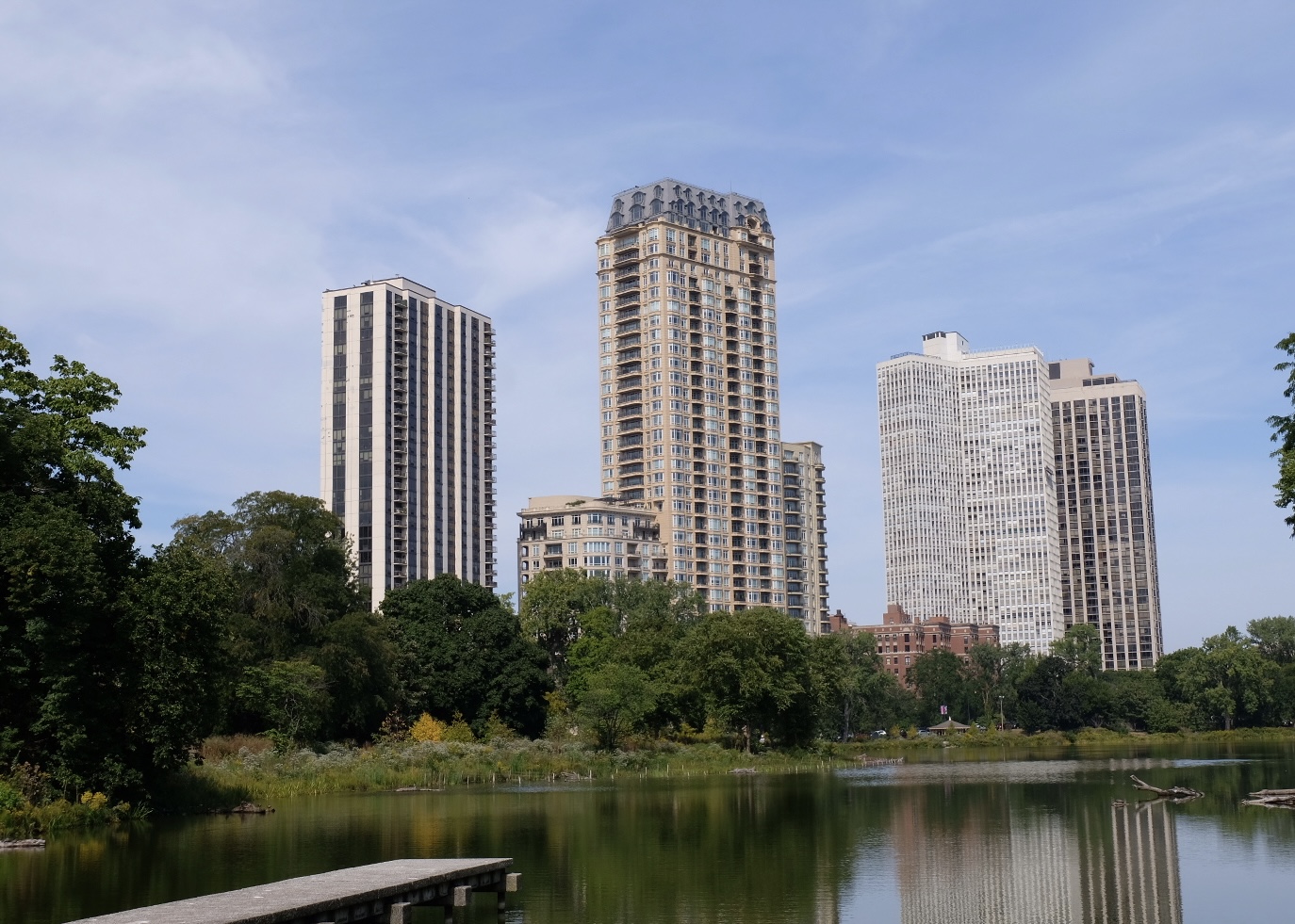 Lincoln Park Chicago Condos for Sale Chicago