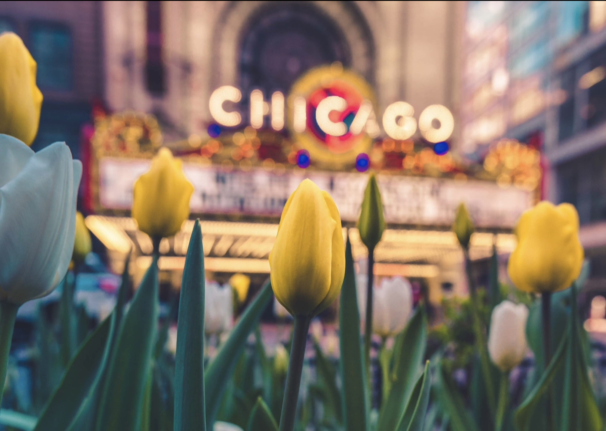 Chicago real estate agents spring advice